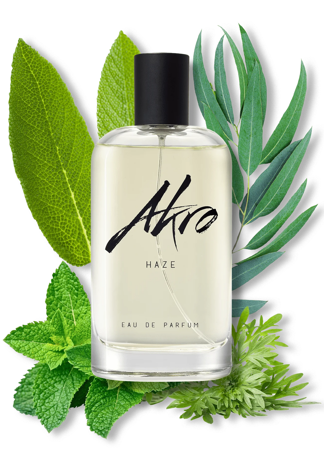 Haze