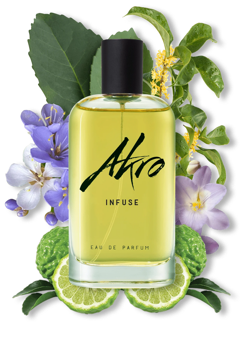 Akro Infuse Eau De Parfum Ingredienti