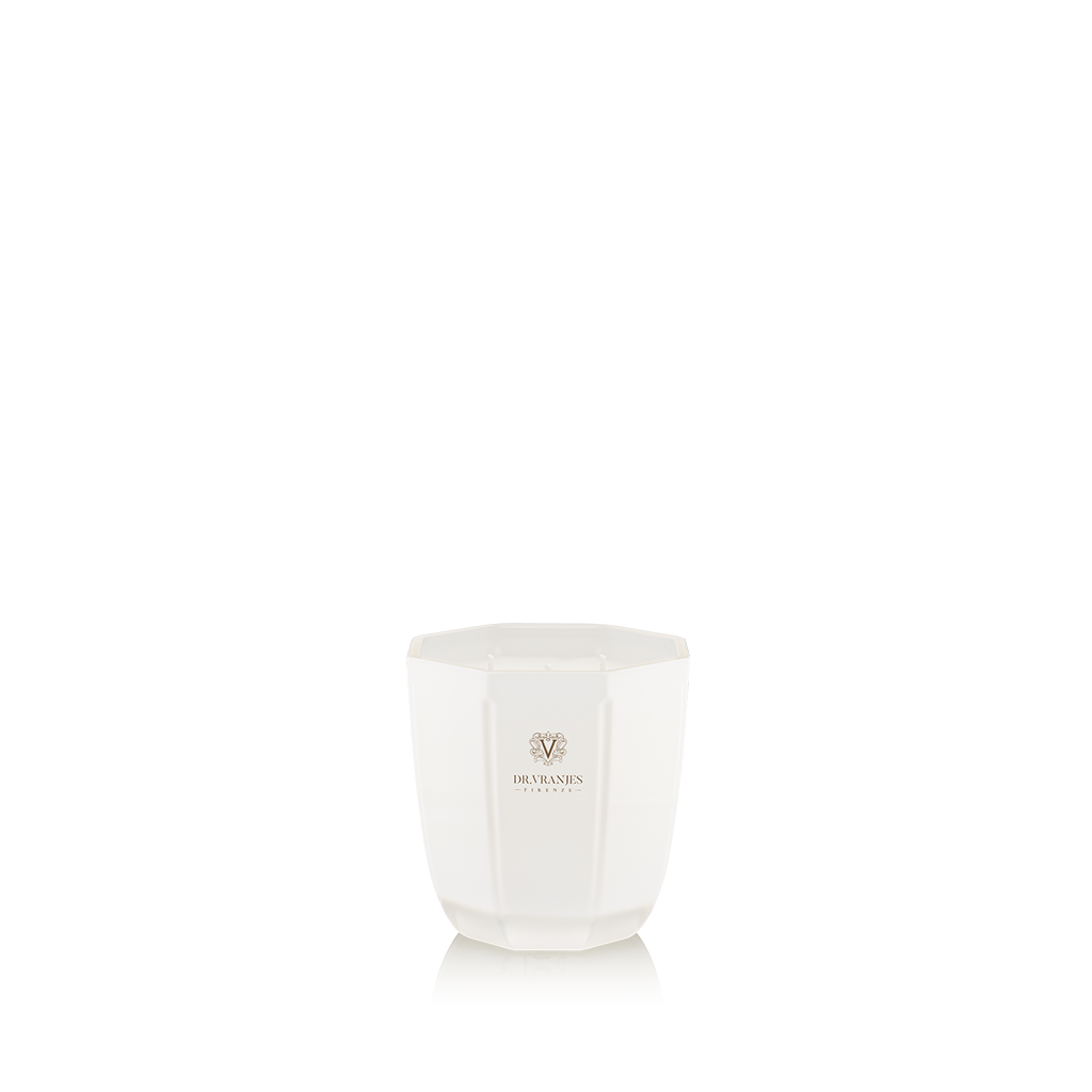 Candela Perla Ginger Lime