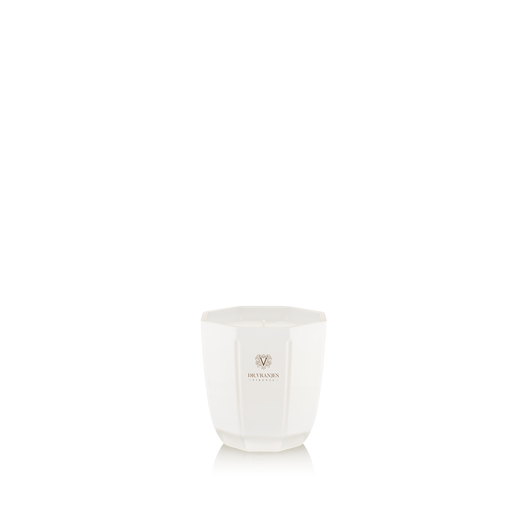 Candela Perla Ginger Lime