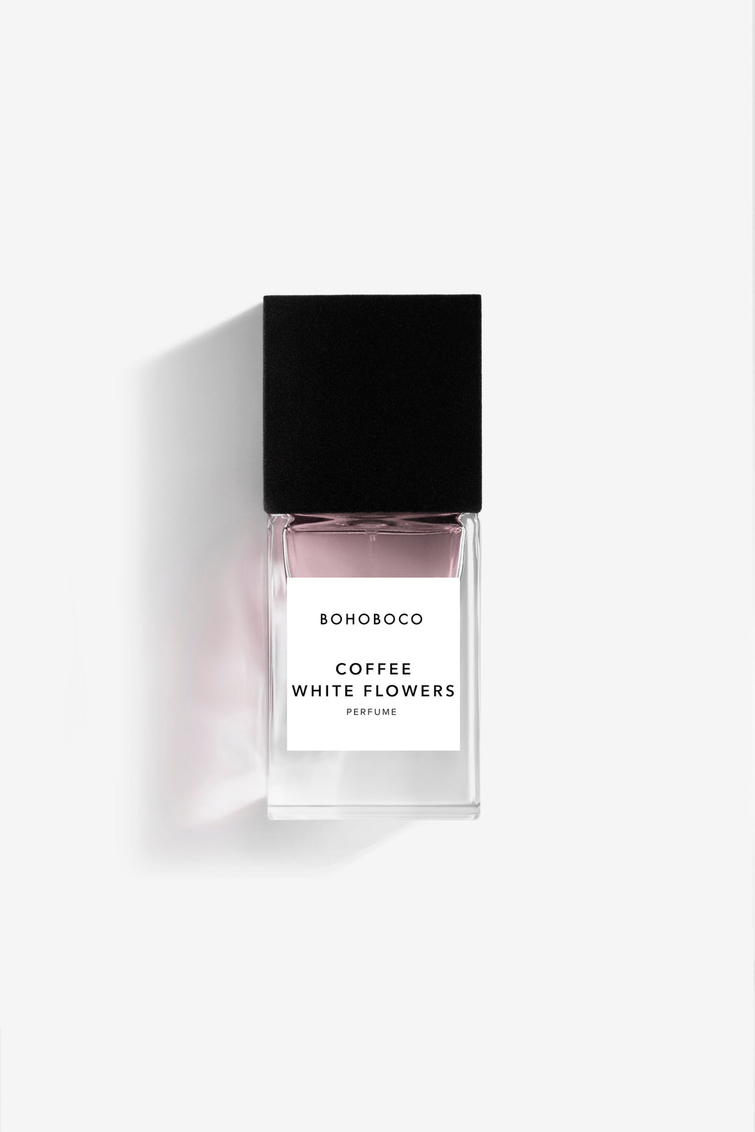 Coffee White Flowers