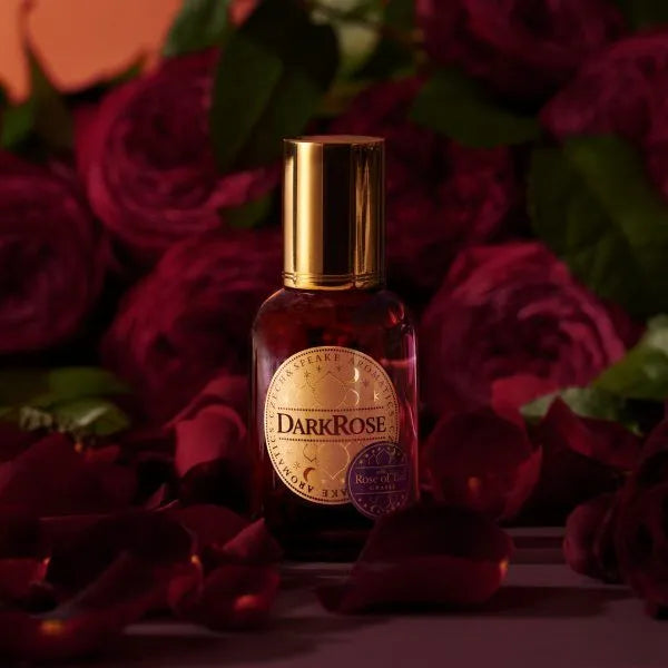 Dark Rose