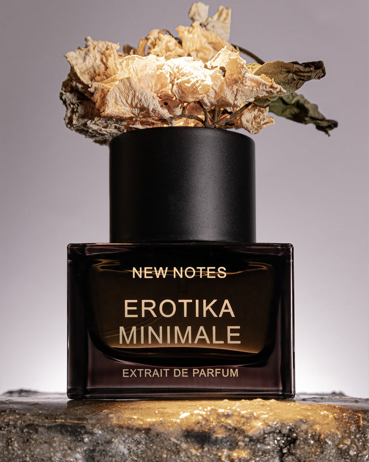 Erotika Minimale