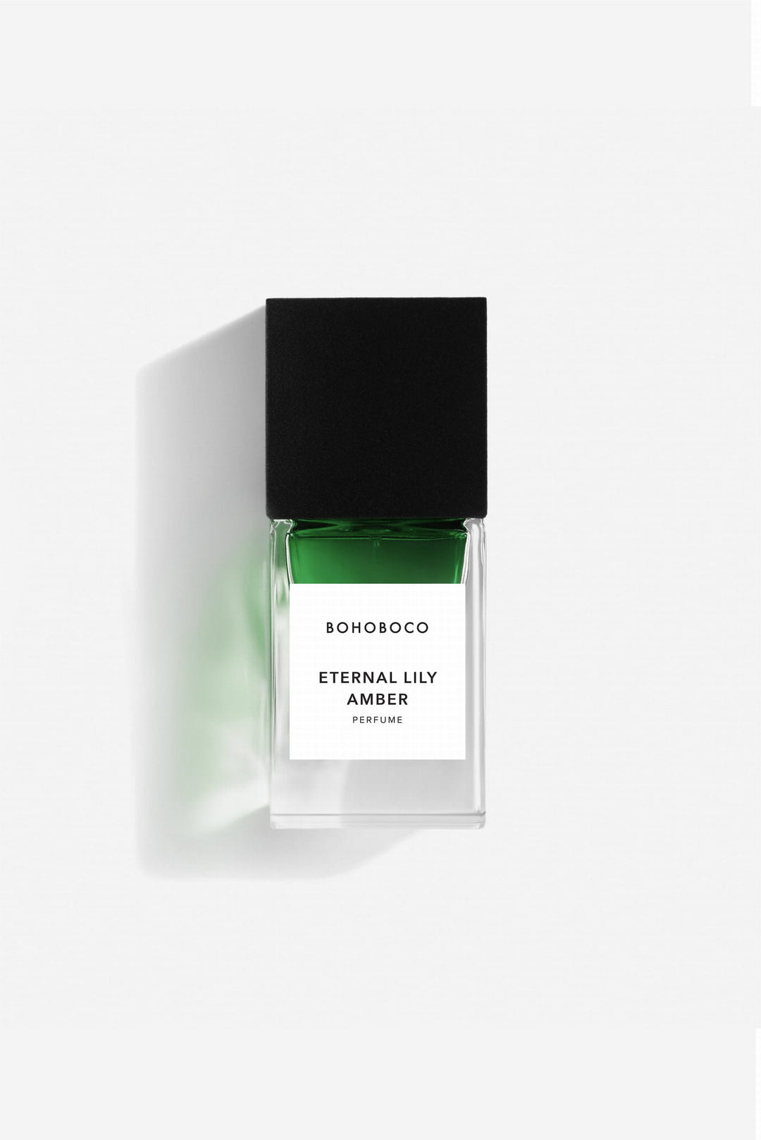 Eternal Lily Amber