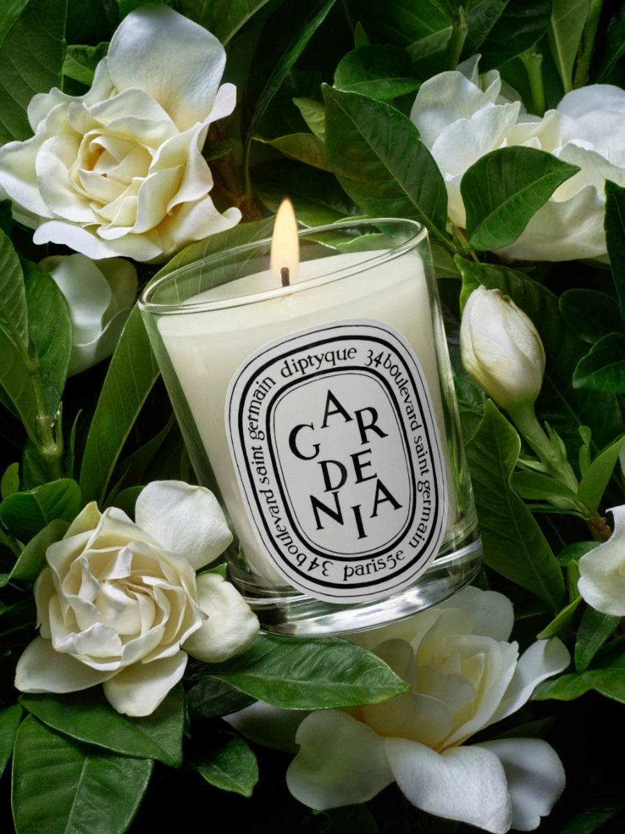 Gardenia