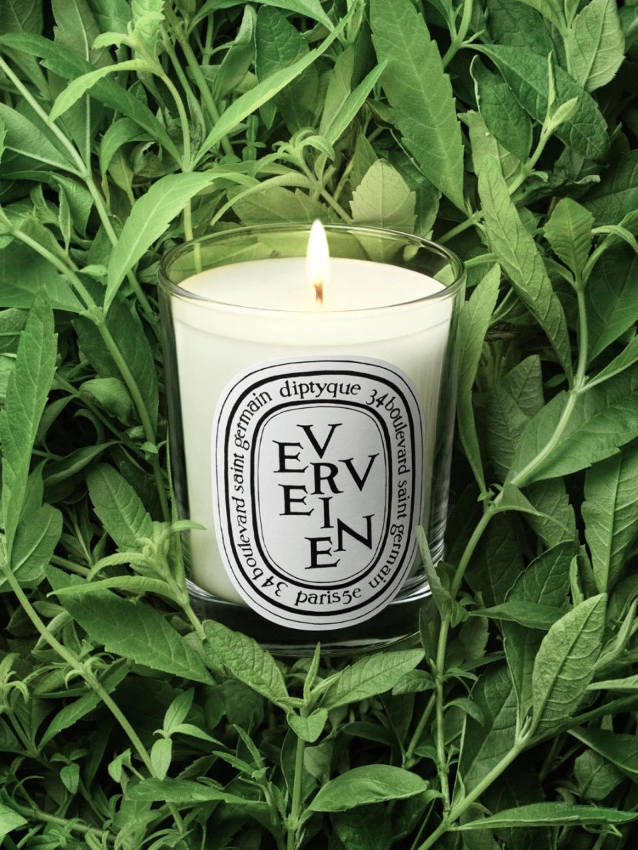 Verveine