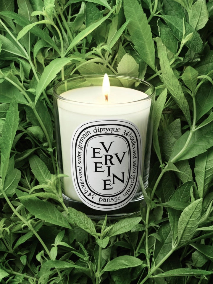 Verveine