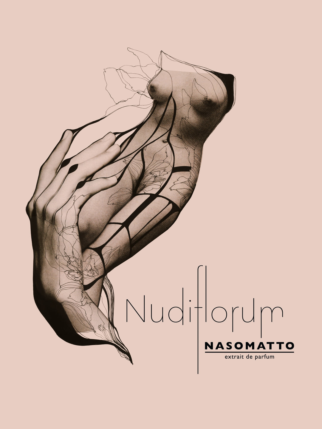 Nudiflorum