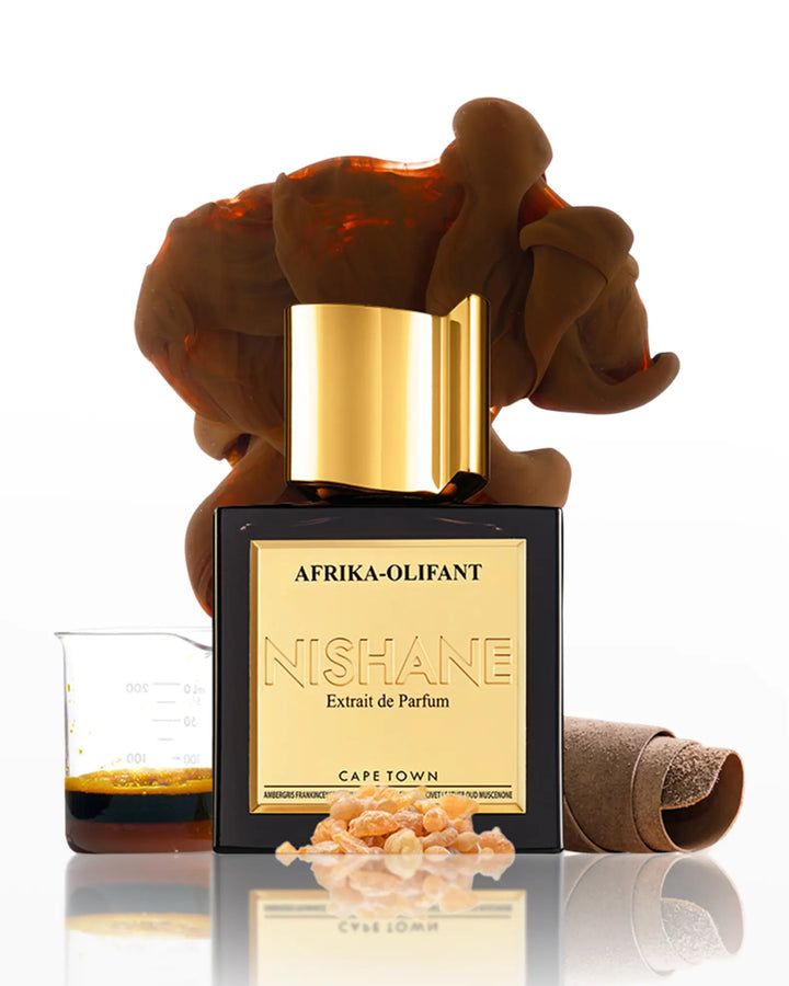 Afrika Olifant