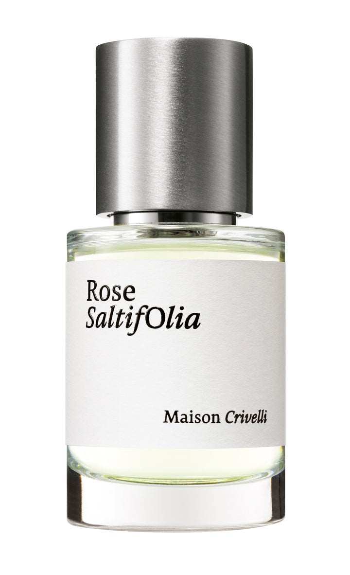Rose Saltifolia